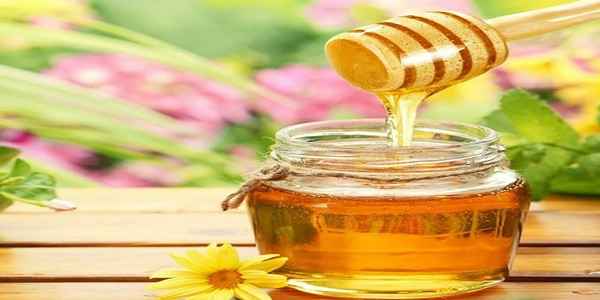 تصویر 3 از خرید و فروش عسل اسطوخودوس اصل با شرایط فوق العاده
